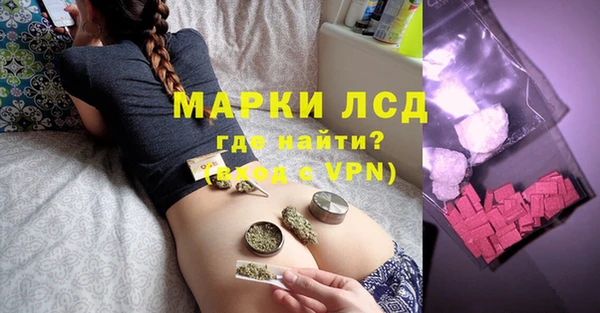 apvp Алексин