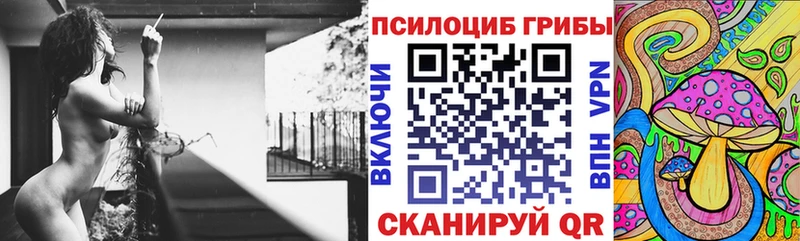 Галлюциногенные грибы мицелий  OMG рабочий сайт  Щёлкино 